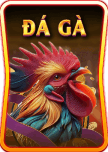 sa88 đá gà